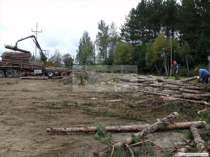 deboisement14