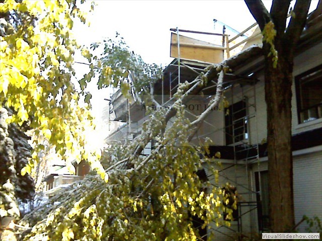 Read more about the article Un arbre avait tombé sur cette maison en réparation